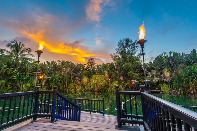 Black Ginger sunset over entrance